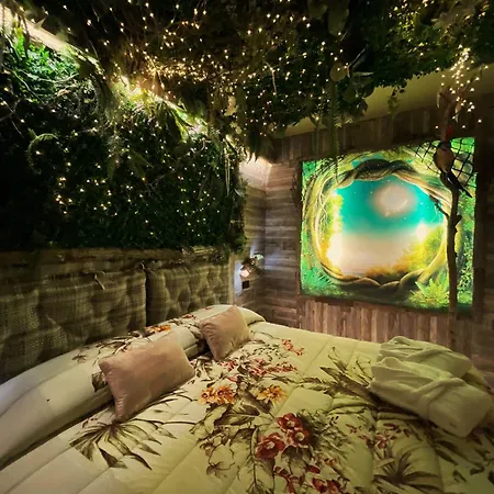 Dreams 3*